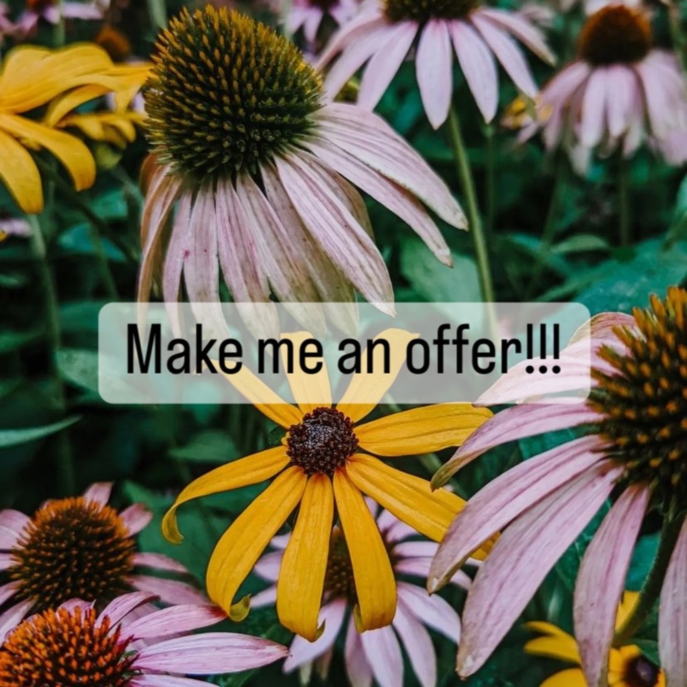 Make ma an offer!  Bundle for discounts!